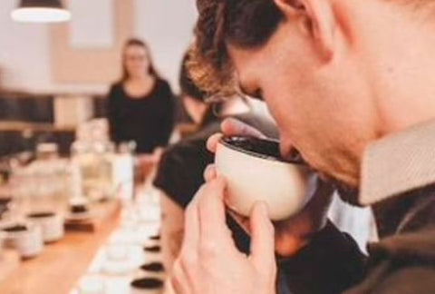 Coffee Tasting Guide