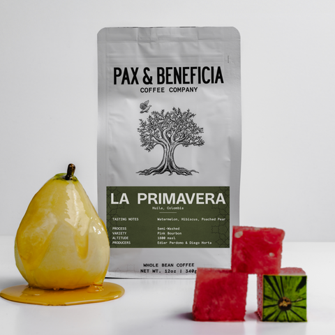 La Primavera