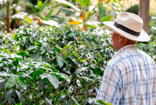 Coffee Traditions Around the World