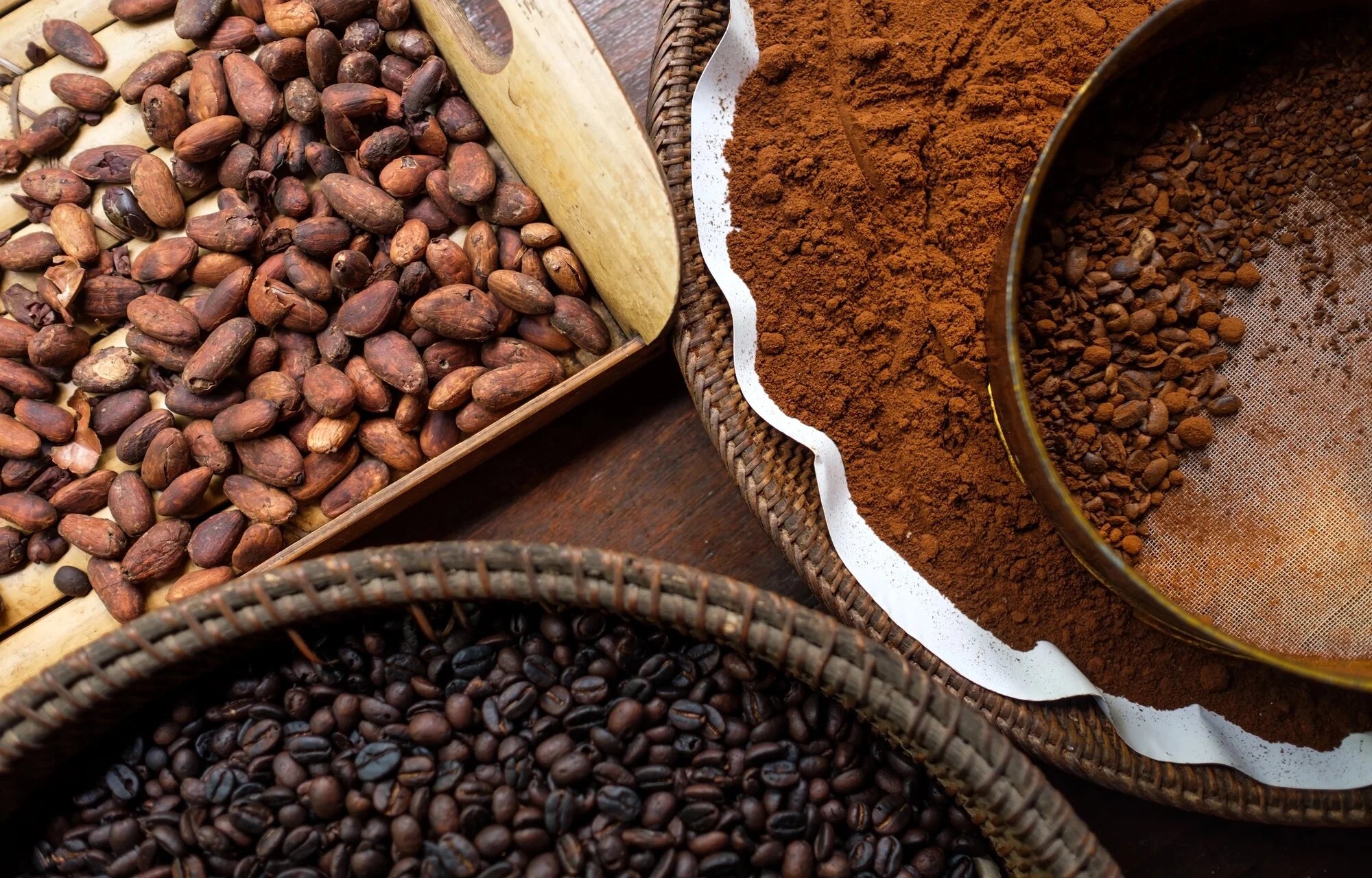 4 Different Types of Coffee Beans You Should Know About Pax