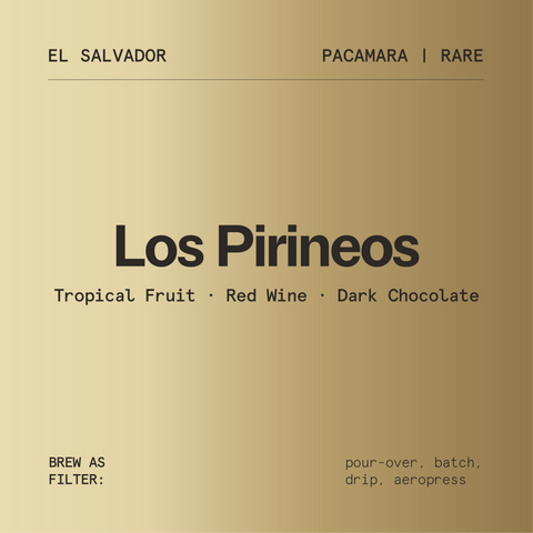 Los Pirineos Pacamara Natural