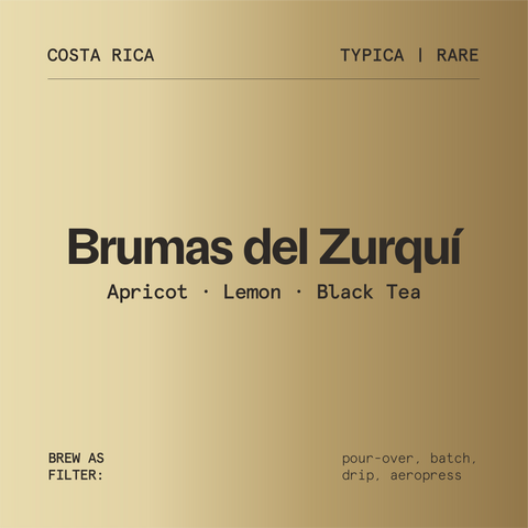 Brumas del Zurquí Typica Natural