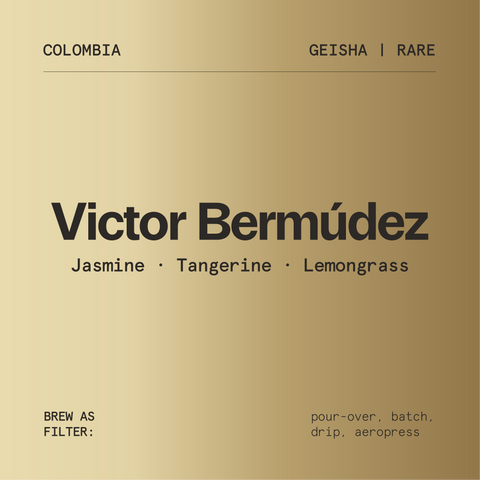 Victor Bermúdez Gesha
